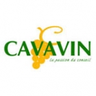 Cavavin Paris